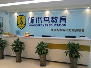 教育咨询公司的经营范围与出国留学业务解析